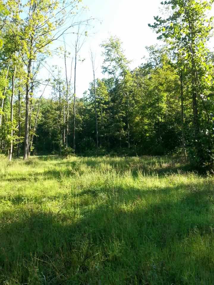 0 Emmons Ridge French Lick, IN 47581 - Photo 3 of 18