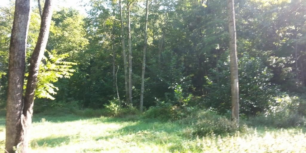 0 Emmons Ridge French Lick, IN 47581 - Photo 5 of 18