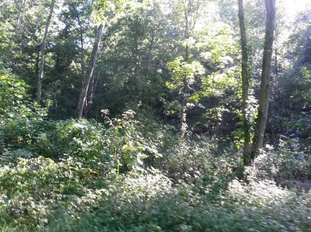 0 Emmons Ridge French Lick, IN 47581 - Photo 6 of 18