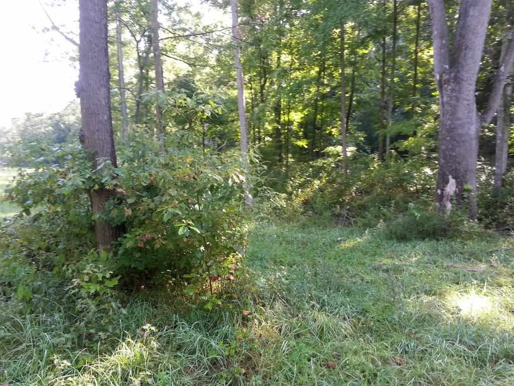 0 Emmons Ridge French Lick, IN 47581 - Photo 8 of 18