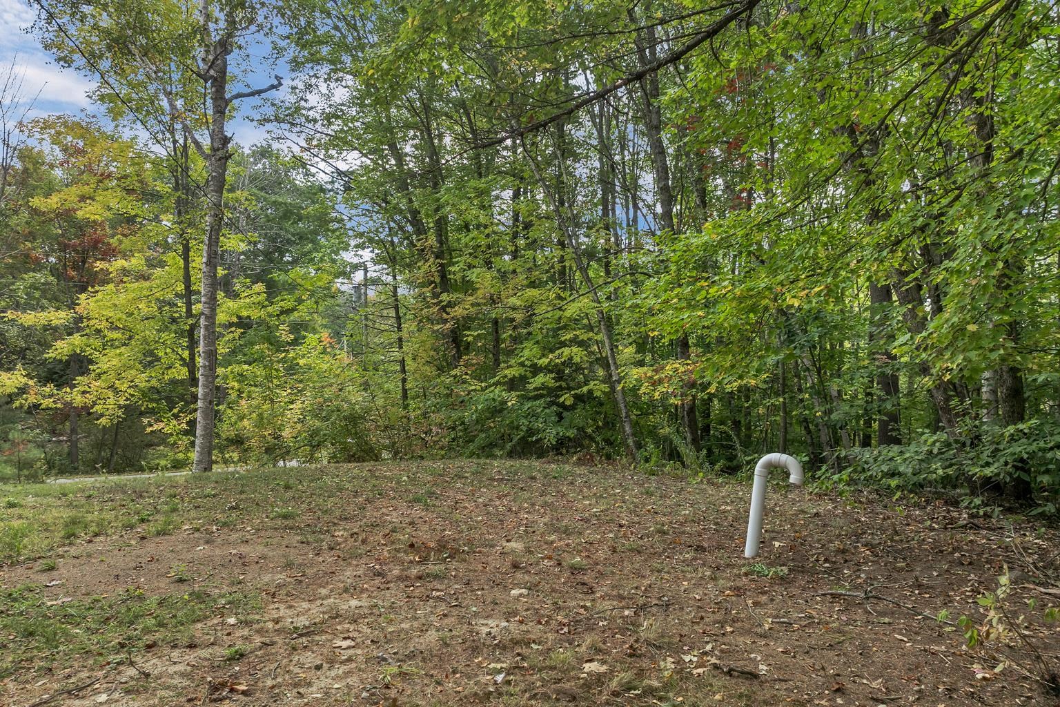 98 White Birch Road Wakefield, NH 03872 - Photo 12 of 58 Gallery Image 12
