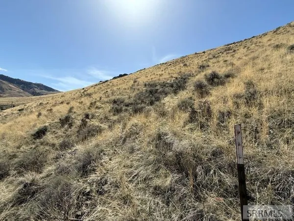 $26,000 | Nkn West Chukar Circle, Salmon, ID 83467