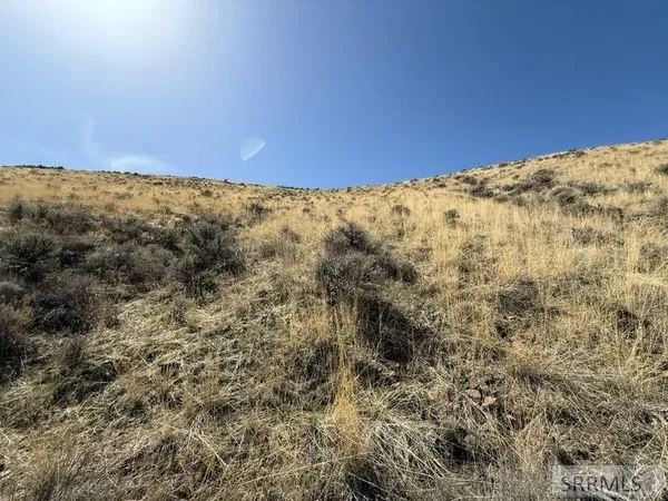 $19,900 | Nkn West Chukar Circle, Salmon, ID 83467