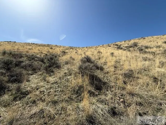 $26,000 | Nkn West Chukar Circle, Salmon, ID 83467