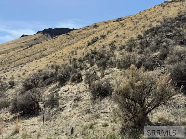 $26,000 | Nkn West Chukar Circle, Salmon, ID 83467