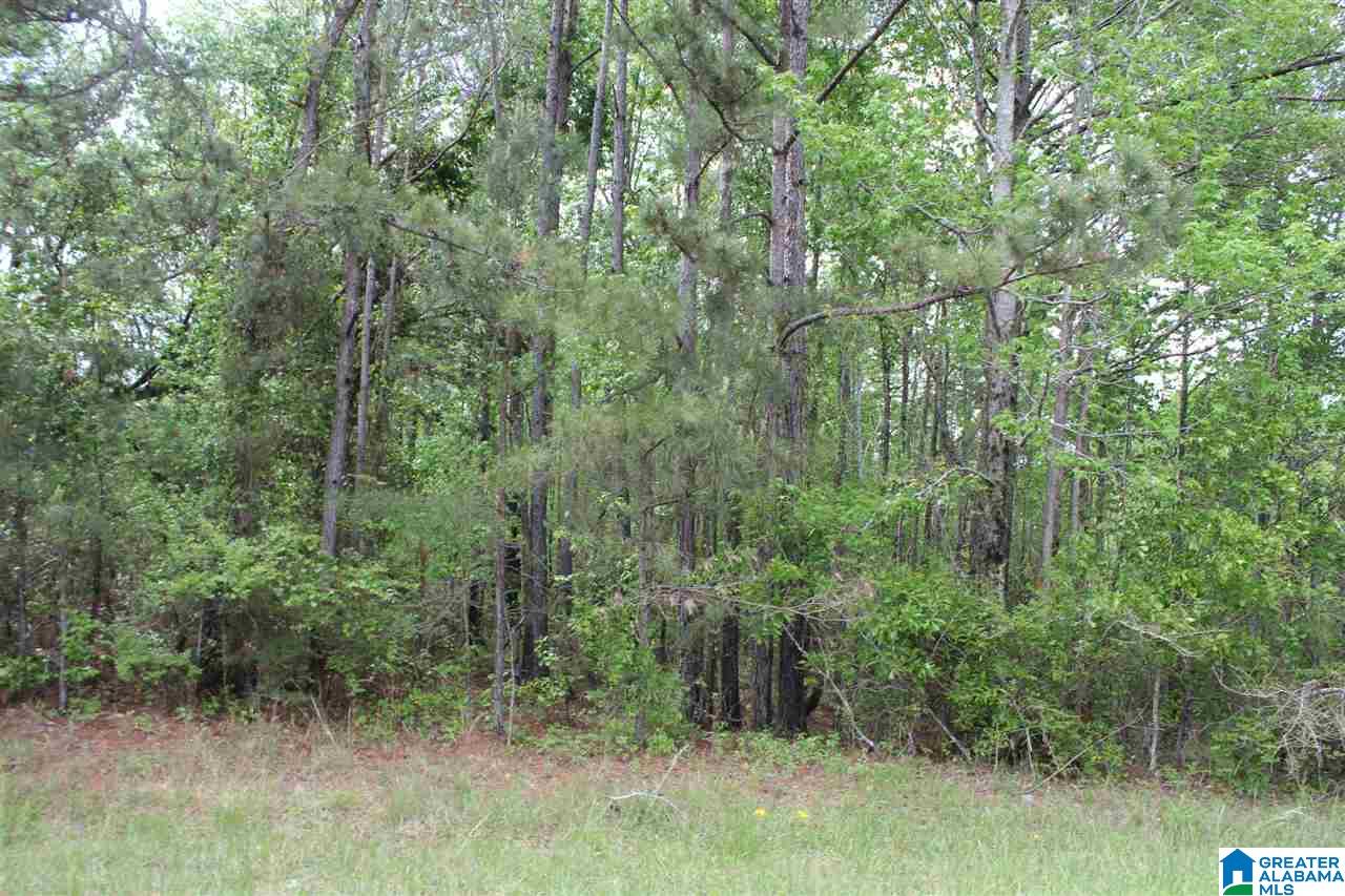 0 County Road 38 Jemison, AL 35085 - Photo 5 of 13