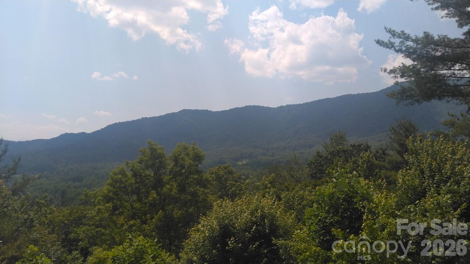Lot 17 Deer Ridge Trail Marion, NC 28752 - Photo 5 of 8