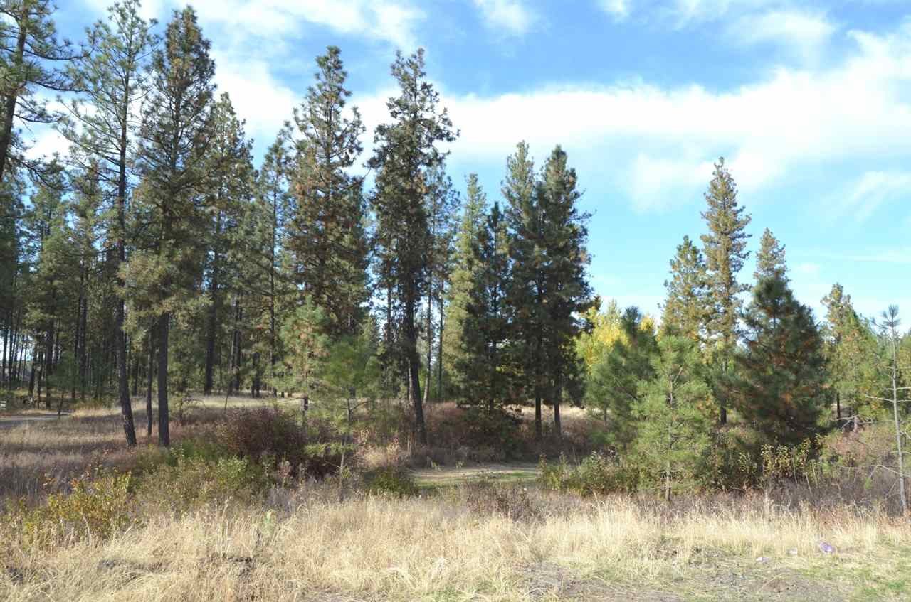 18301 West Salnave Road Cheney, WA 99004 - Photo 4 of 20