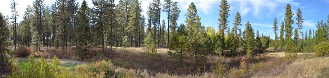 18301 West Salnave Road Cheney, WA 99004 - Photo 5 of 20