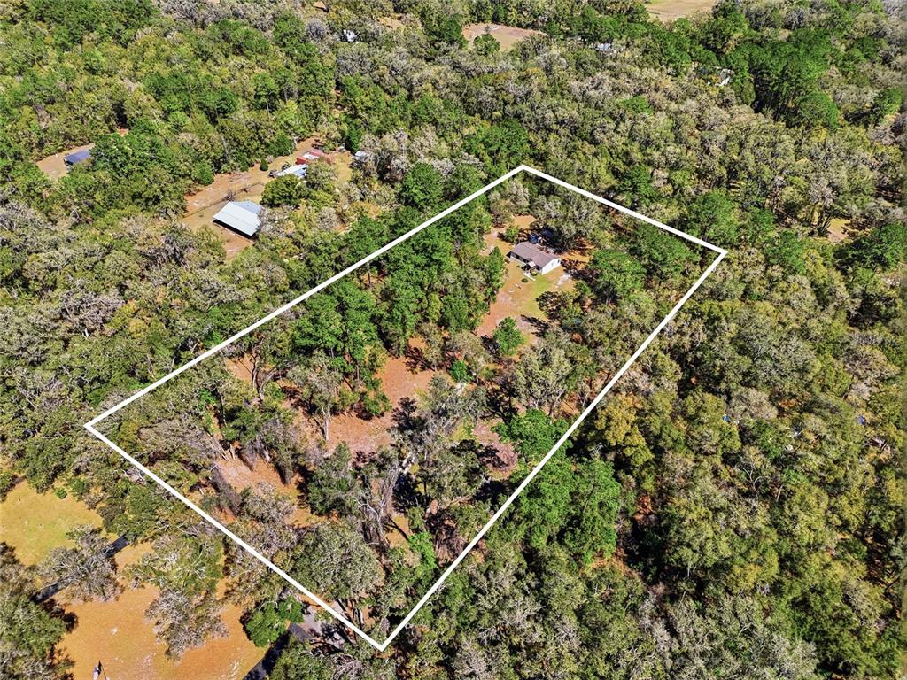 1131 Southwest 166th Street Newberry, FL 32669 - Photo 5 of 30