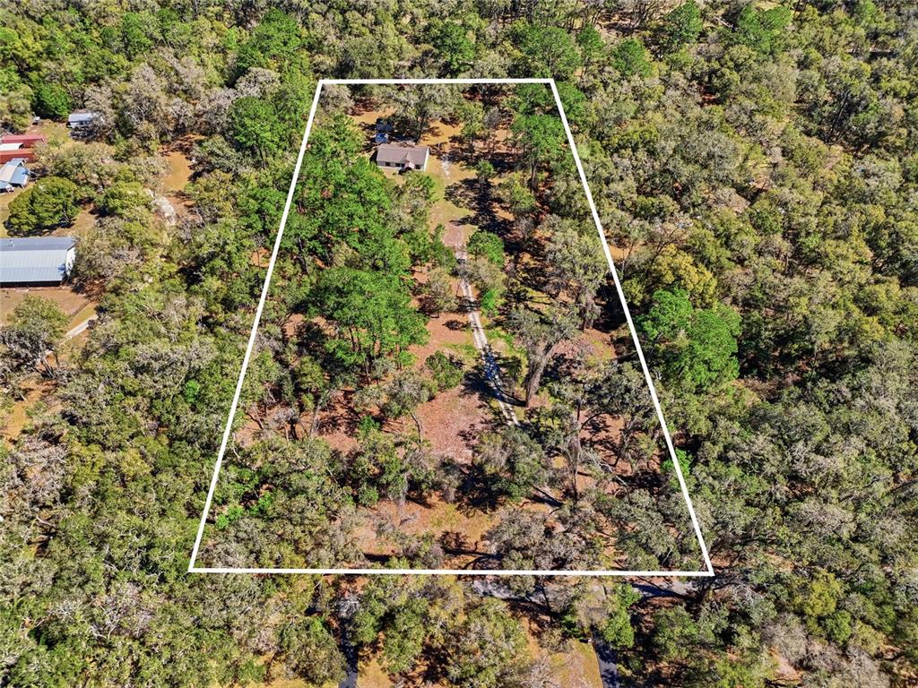 1131 Southwest 166th Street Newberry, FL 32669 - Photo 6 of 30