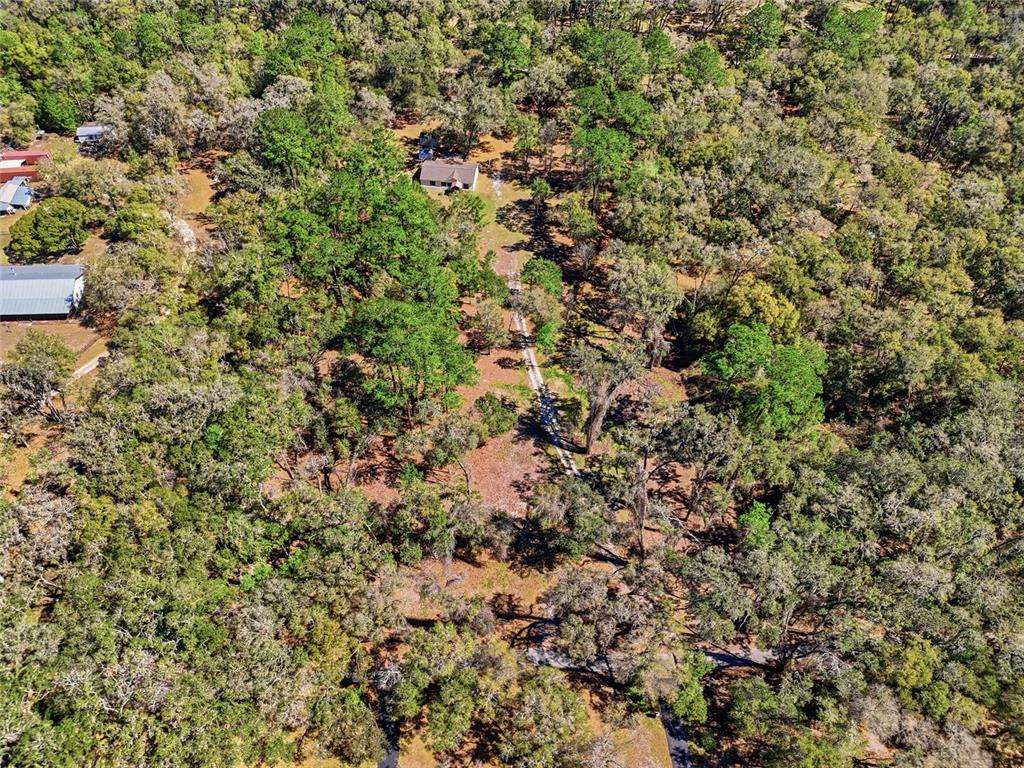 1131 Southwest 166th Street Newberry, FL 32669 - Photo 7 of 30