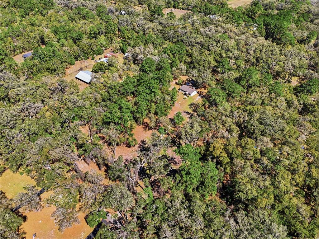 1131 Southwest 166th Street Newberry, FL 32669 - Photo 8 of 30