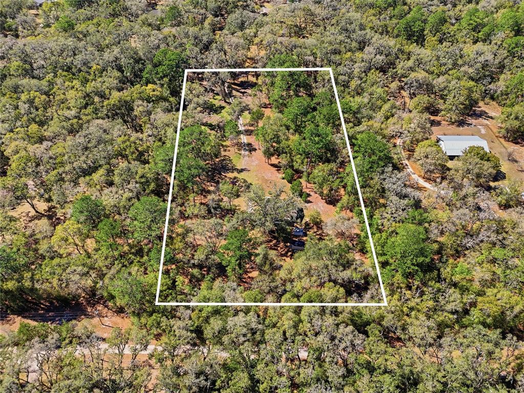 1131 Southwest 166th Street Newberry, FL 32669 - Photo 9 of 30