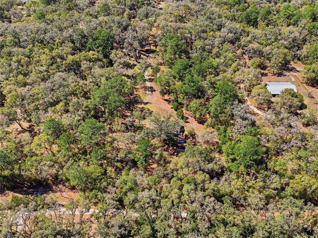 1131 Southwest 166th Street Newberry, FL 32669 - Photo 10 of 30