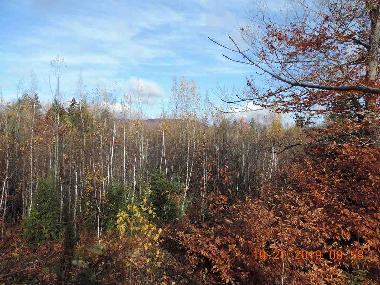 86 South Ridge Road Bradford, NH 03221 - Photo 6 of 9