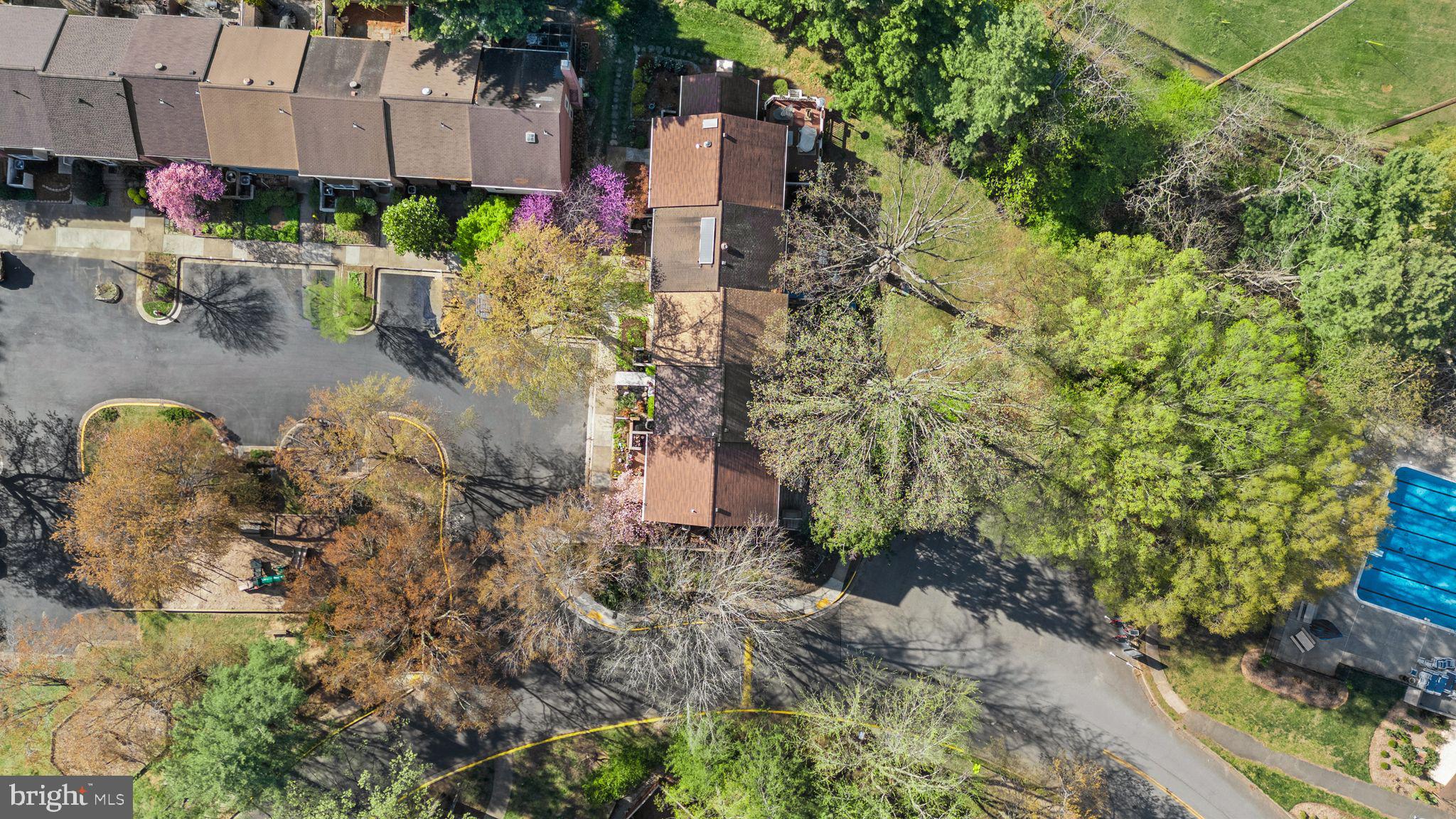 2212 Golf Course Drive Reston, VA 20191 - Photo 46 of 49 a picture of flowers