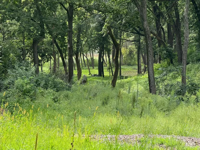 $675,000 | 3325 Overlook Drive, Bloomington, MN 55431