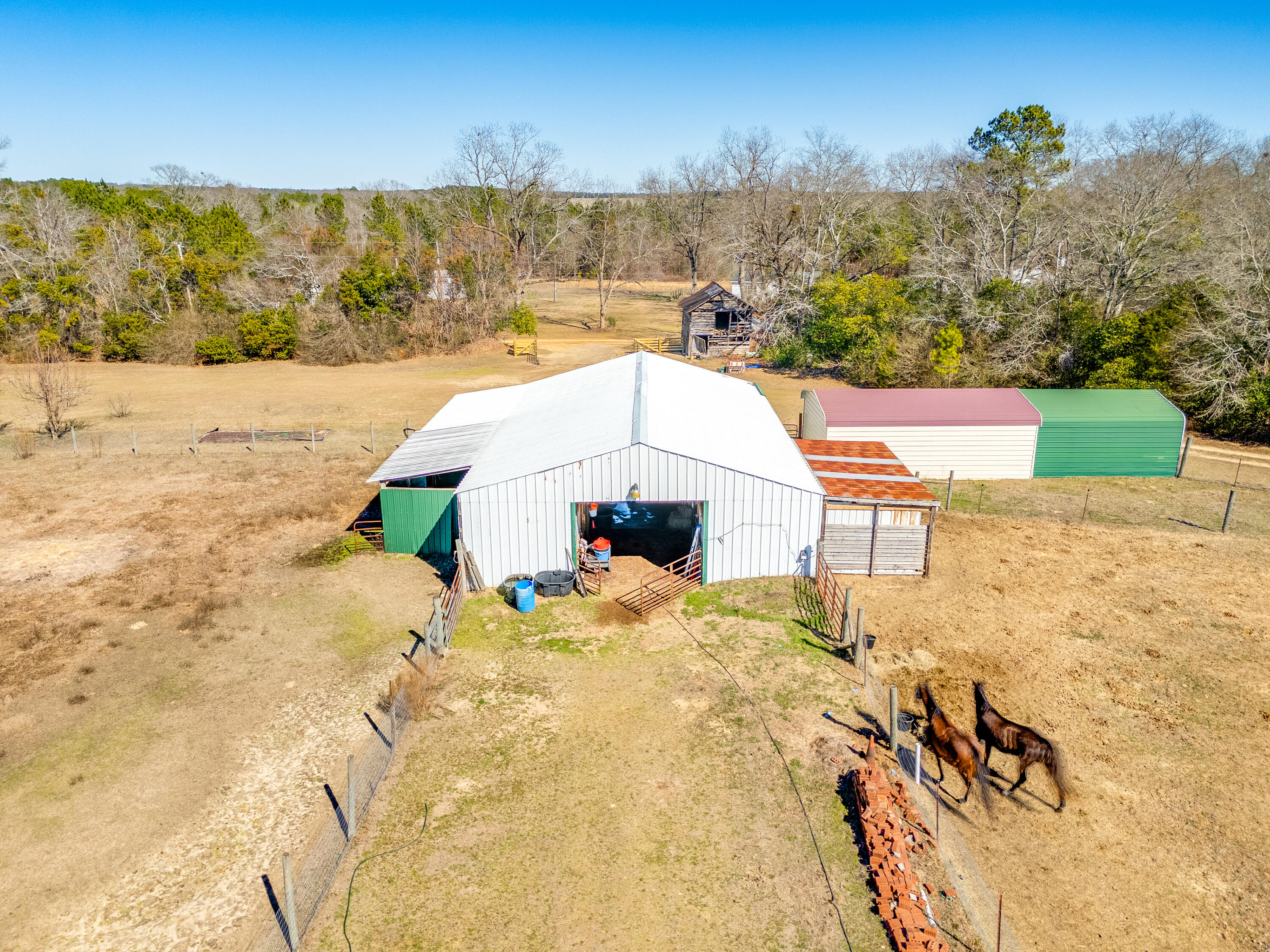 1080 Fox Young Road Wagener, SC 29164 - Photo 54 of 65