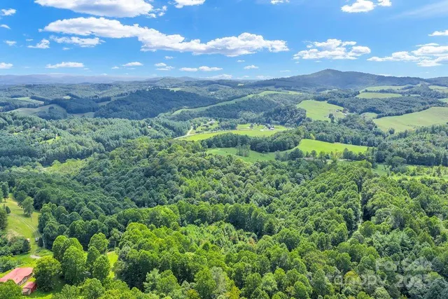 a view of a lush green forest with houses