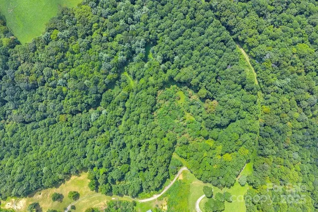 a view of a city with lush green forest