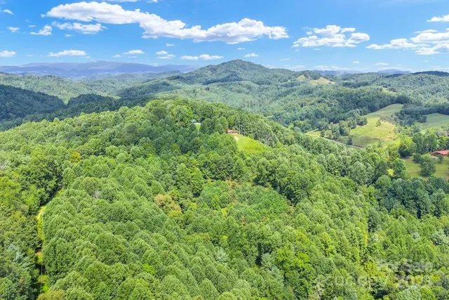 a view of a city with lush green forest