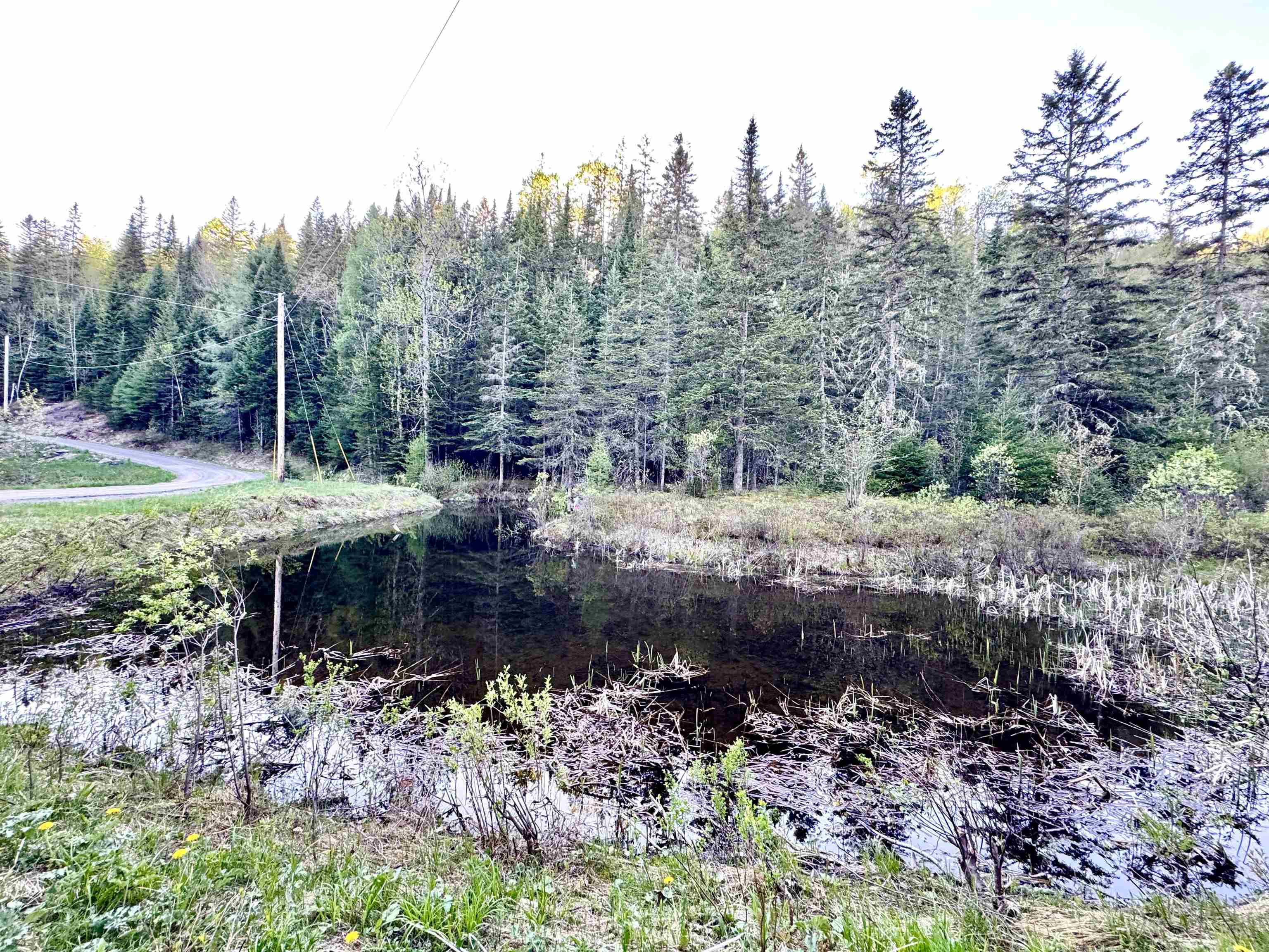 Lot 8 Gulch Brook Road Stewartstown, NH 03576 - Photo 17 of 22
