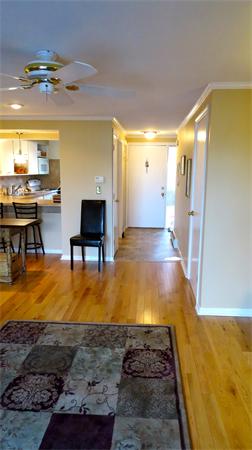 8 Sutton Court, Unit 8 Amherst, MA 01002 - Photo 3 of 29