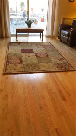 8 Sutton Court, Unit 8 Amherst, MA 01002 - Photo 5 of 29