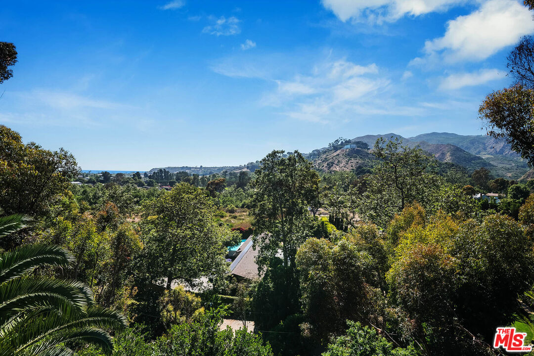 3557 Serra Road Malibu, CA 90265 - Photo 12 of 32 a view of a city with lush green forest
