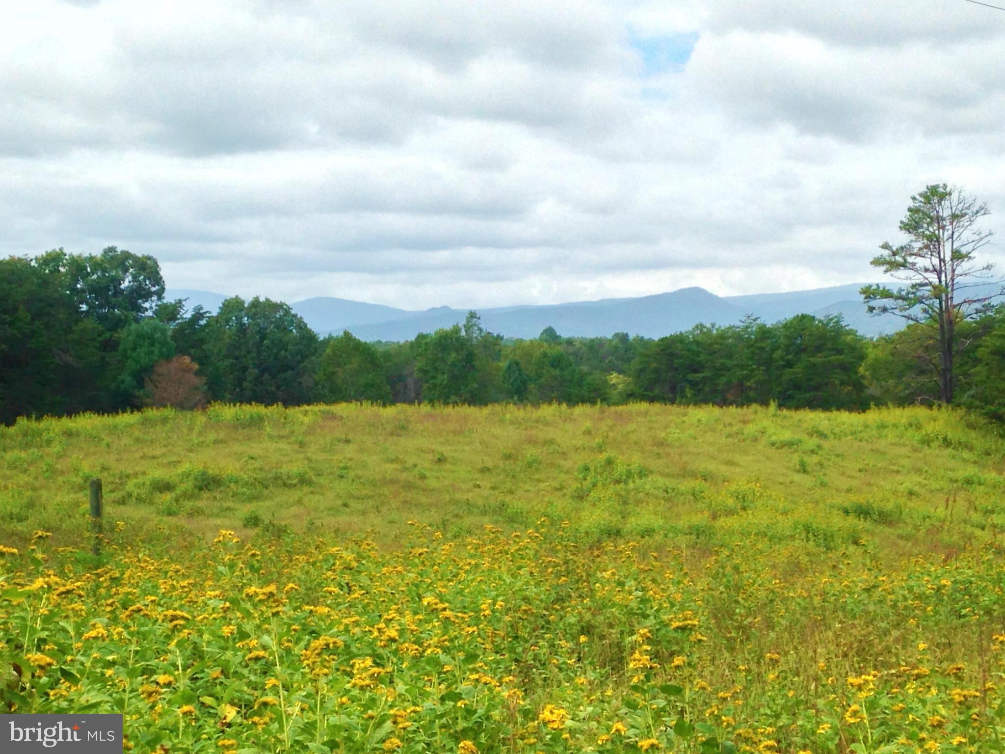 353 Aaron Mountain Road Castleton, VA 22716 - Photo 1 of 23 Summer view of Blue Ridge from the pasture