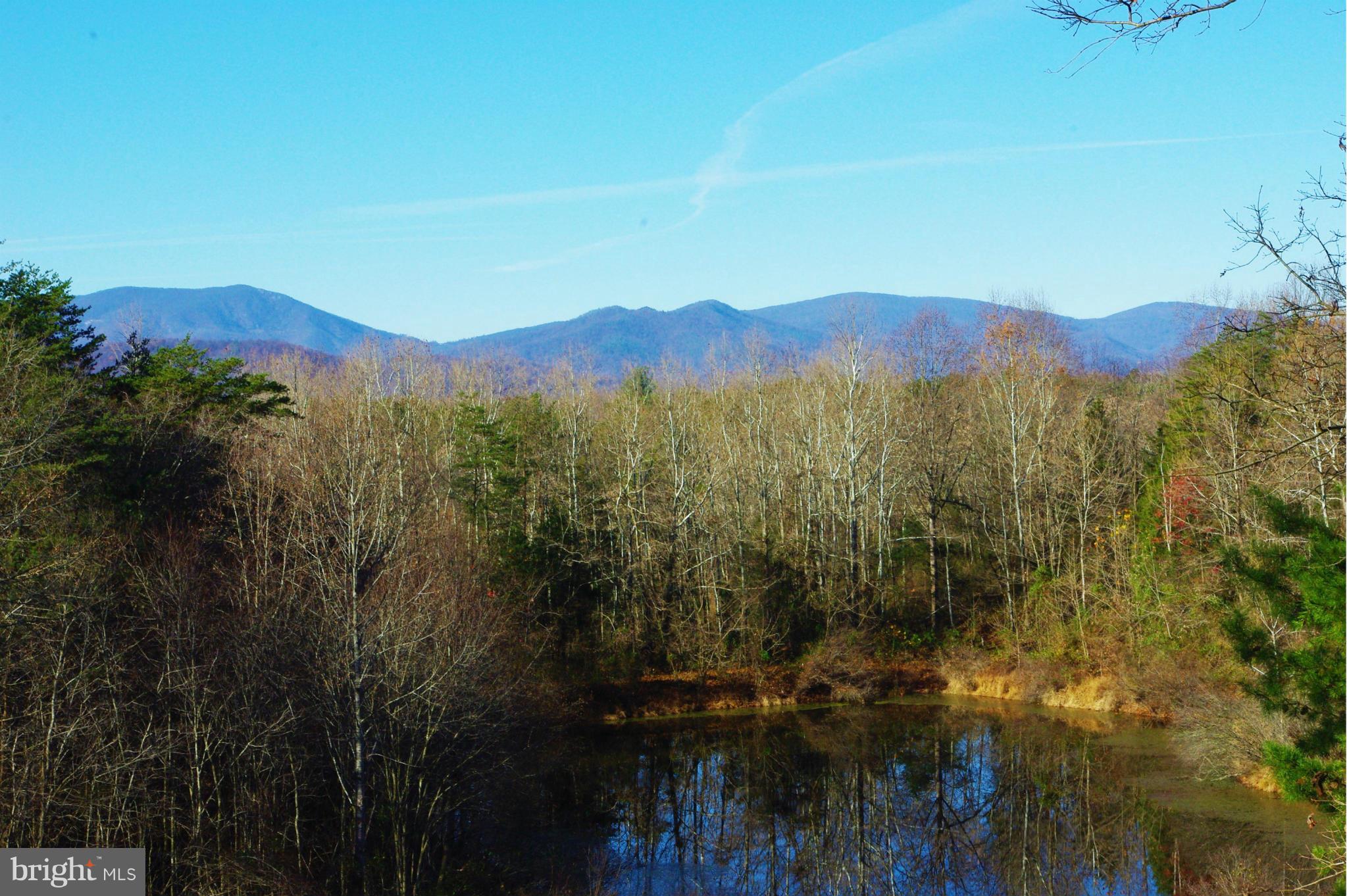 353 Aaron Mountain Road Castleton, VA 22716 - Photo 2 of 23 View of pond and mountains from existing cottage