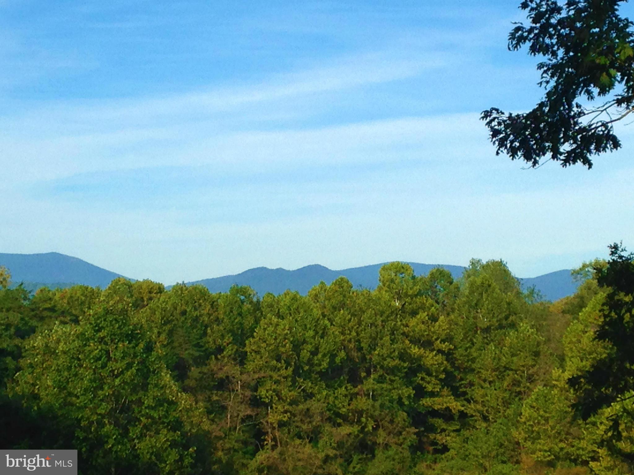 353 Aaron Mountain Road Castleton, VA 22716 - Photo 3 of 23 View from the existing cottage