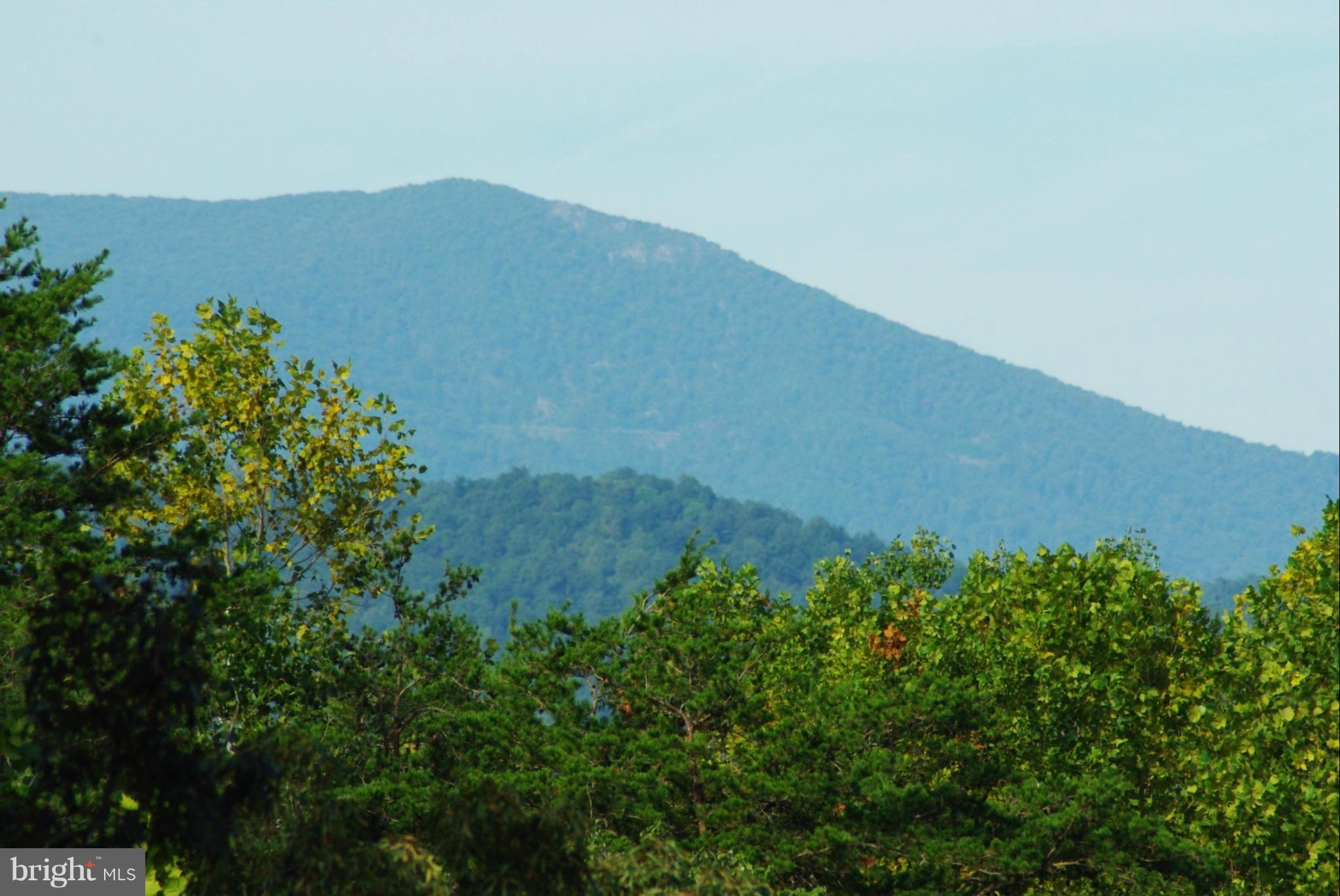 353 Aaron Mountain Road Castleton, VA 22716 - Photo 4 of 23 Close up of the view with Skyline Drive visible
