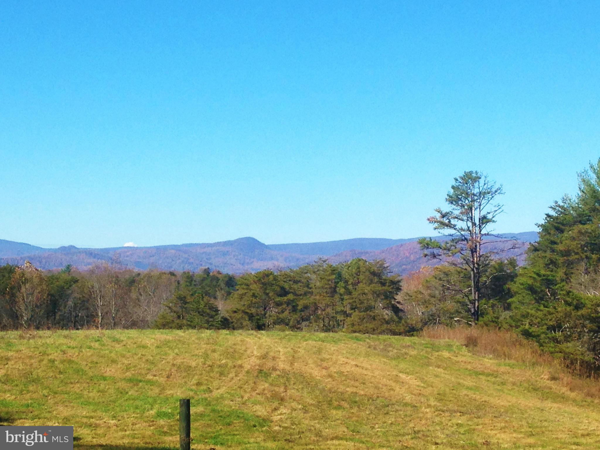 353 Aaron Mountain Road Castleton, VA 22716 - Photo 5 of 23 Autumn view from the pasture