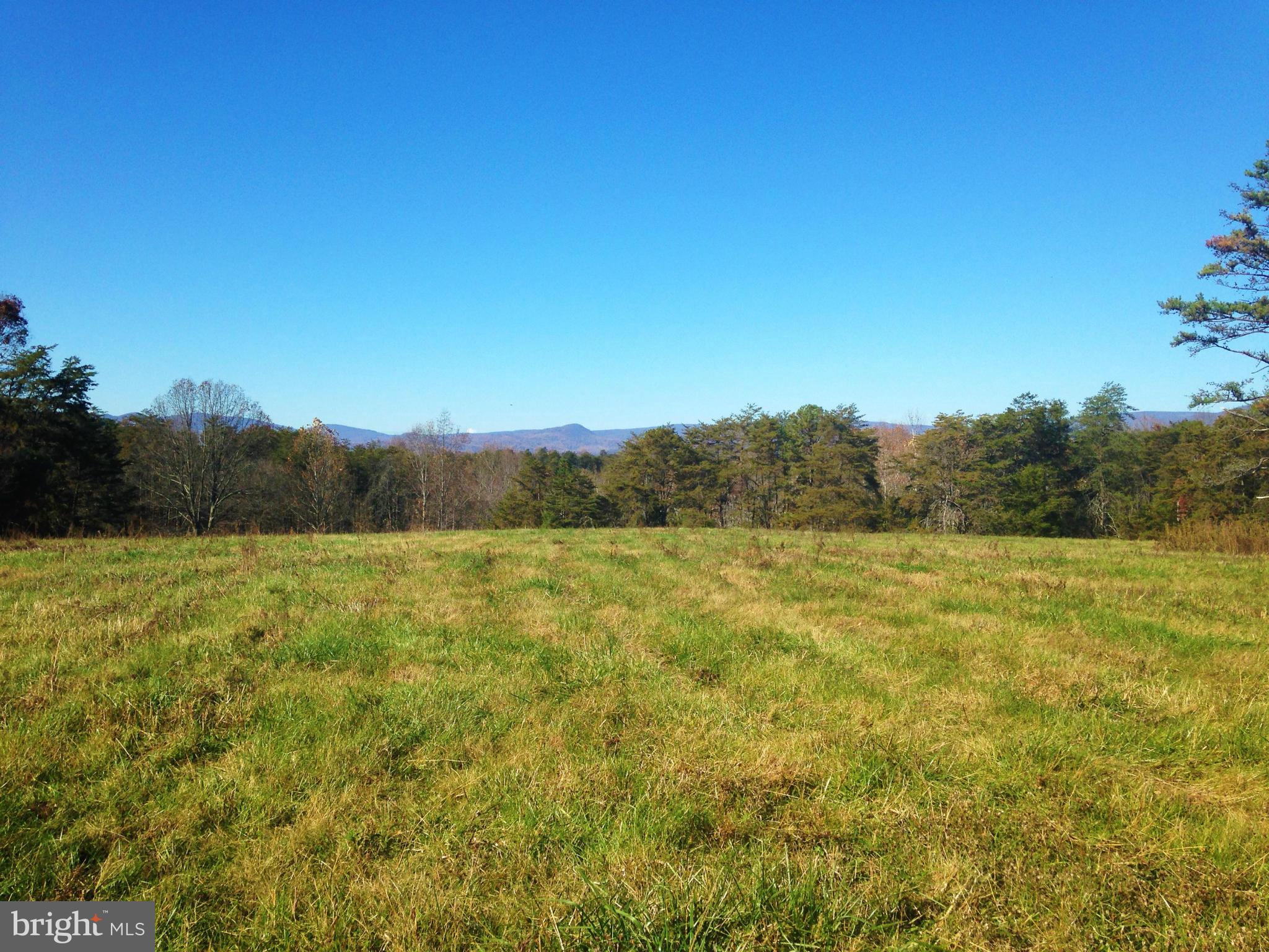 353 Aaron Mountain Road Castleton, VA 22716 - Photo 6 of 23 Another autumn pasture view