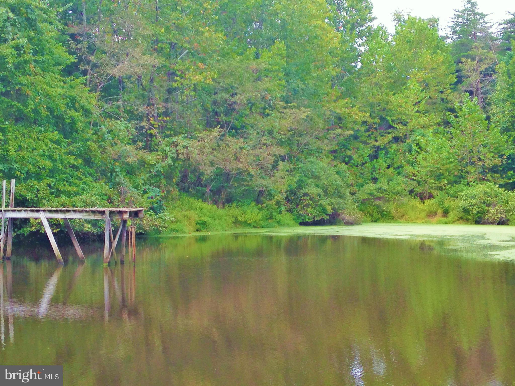 353 Aaron Mountain Road Castleton, VA 22716 - Photo 7 of 23 Large stocked pond