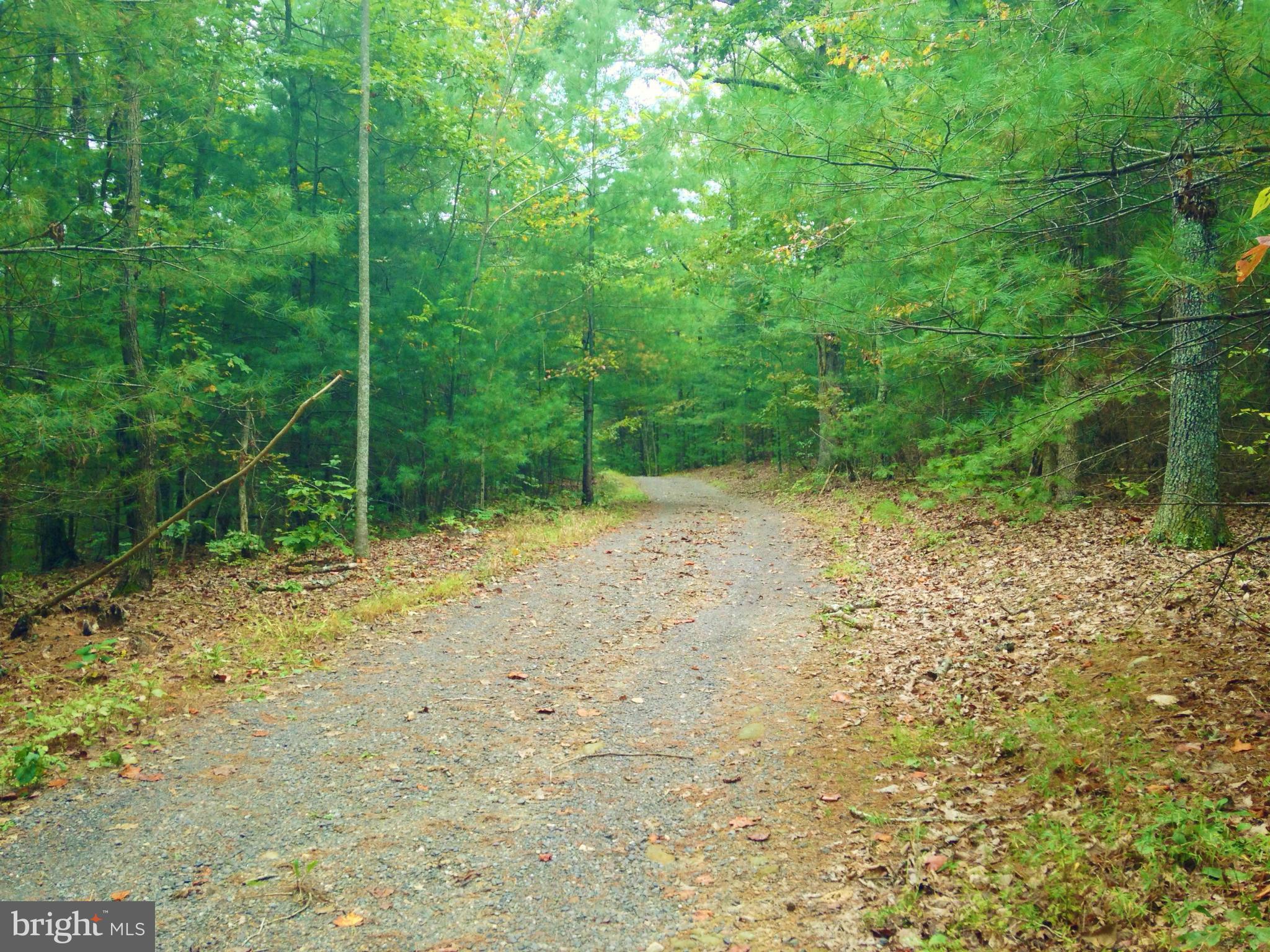 353 Aaron Mountain Road Castleton, VA 22716 - Photo 8 of 23 Private driveway