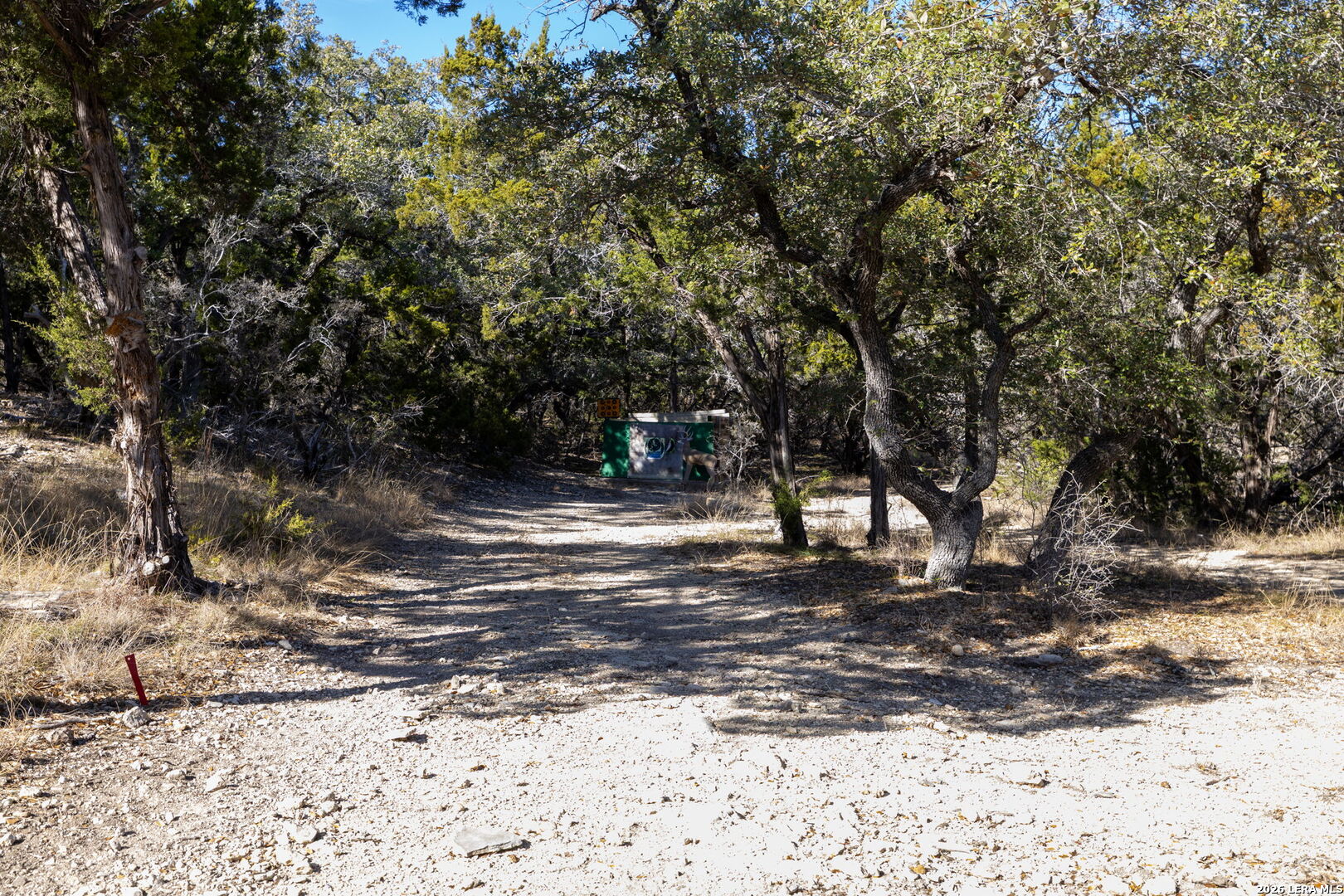 1941 Canyon Spring Branch, TX 78070 - Photo 84 of 86 a view of a yard with a tree