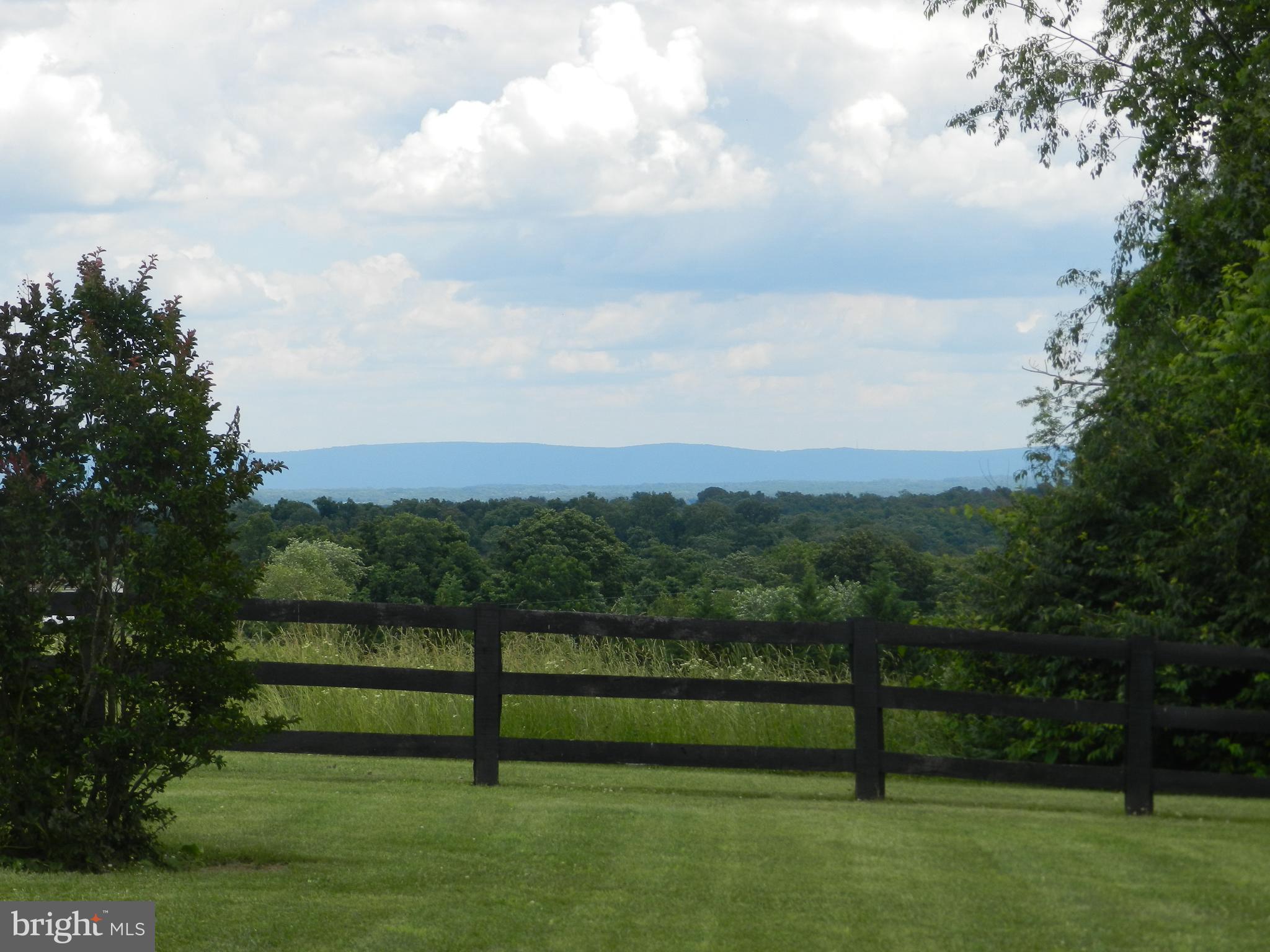 4353 Apple Pie Ridge Road Winchester, VA 22603 - Photo 14 of 39 Gallery Image 14