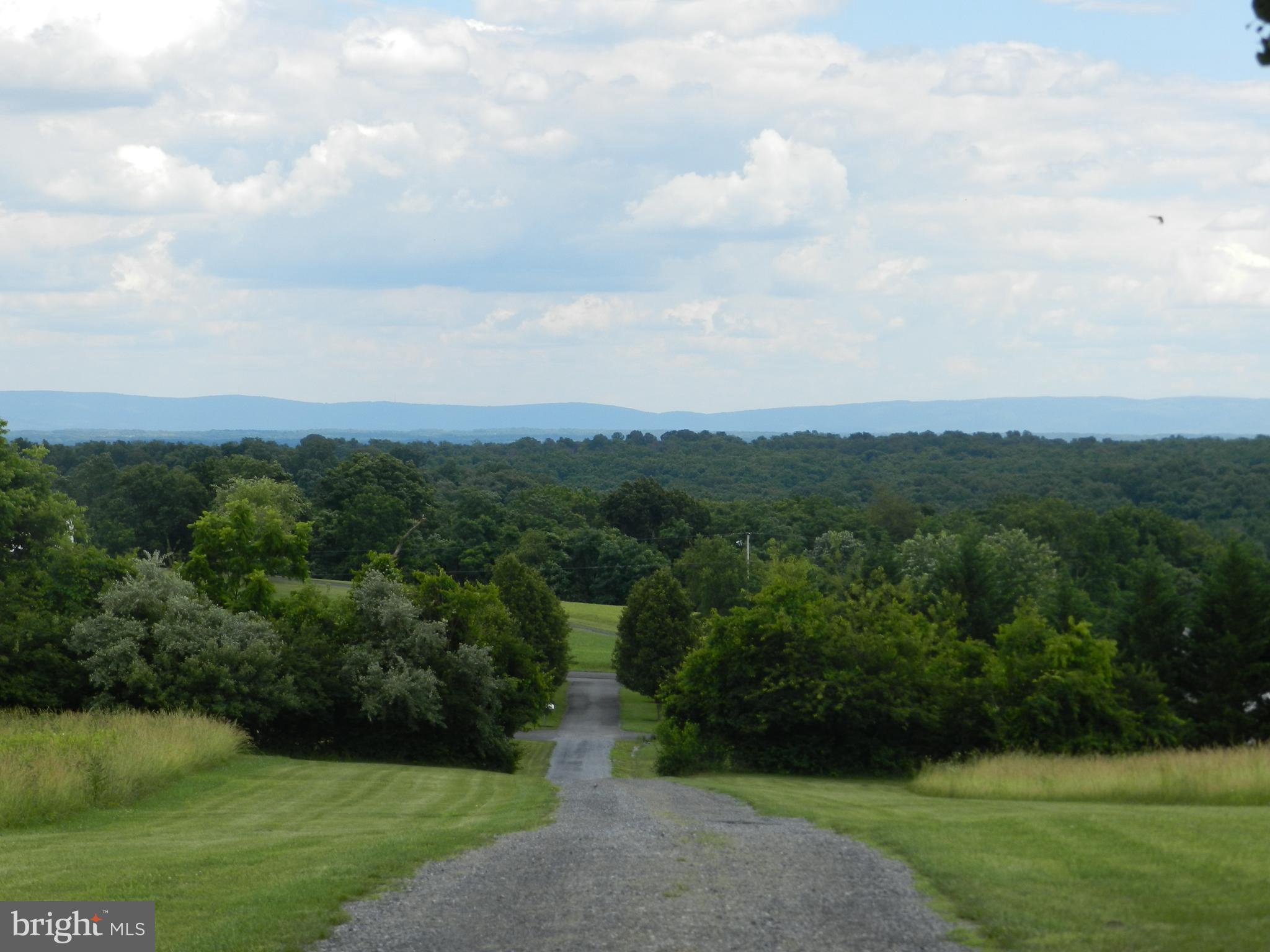 4353 Apple Pie Ridge Road Winchester, VA 22603 - Photo 22 of 39 Gallery Image 22