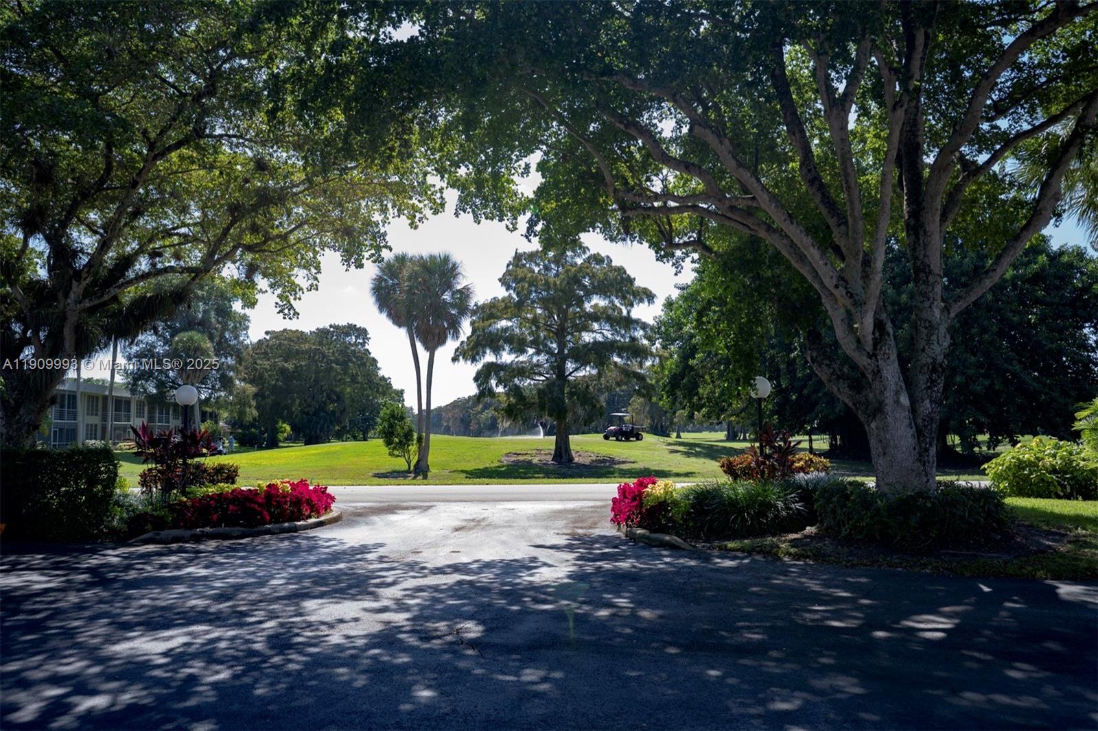 a green field covered with trees