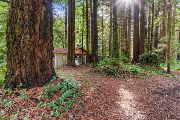 $300,000 | 207 Lanford Road, Trinidad, CA 95570