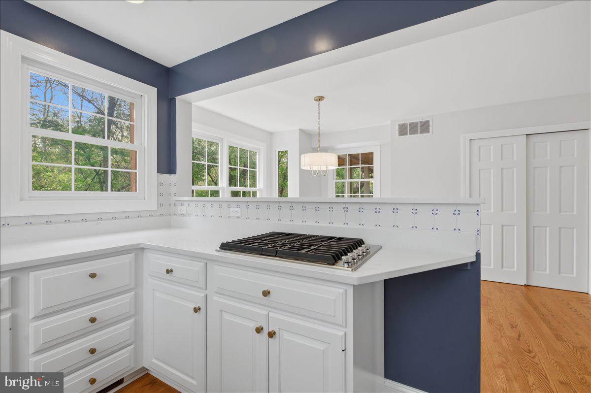 5736 8th Road North Arlington, VA 22205 - Photo 24 of 57 Modern Farmhouse Kitchen