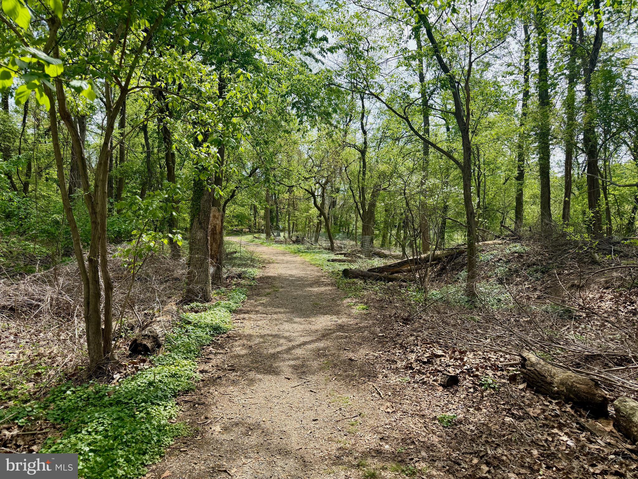 5736 8th Road North Arlington, VA 22205 - Photo 51 of 57 Nearby Trail