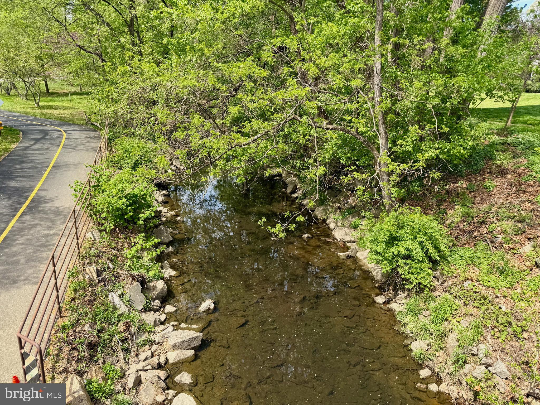 5736 8th Road North Arlington, VA 22205 - Photo 54 of 57 Nearby Creek in Bluemont Park