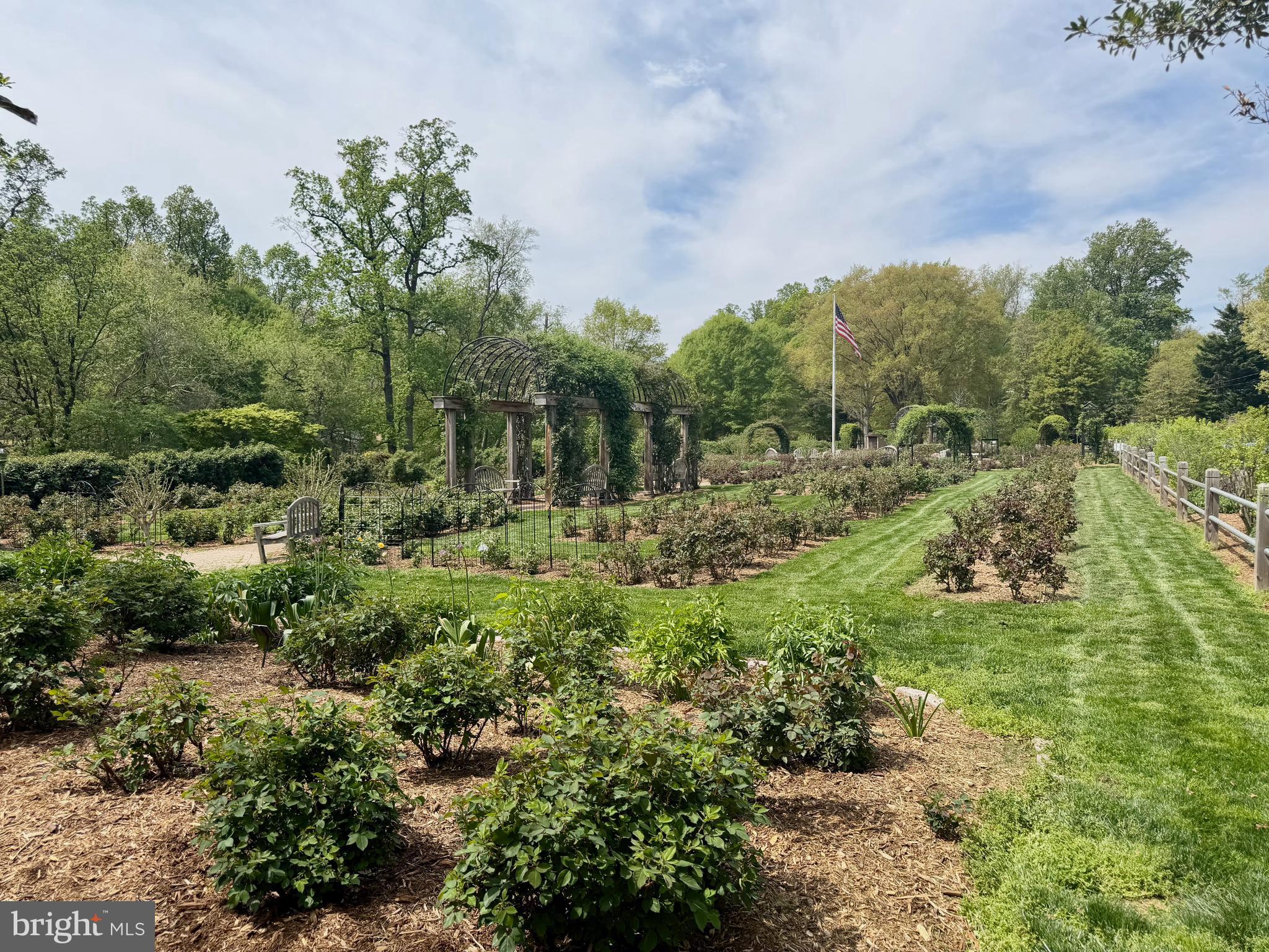 5736 8th Road North Arlington, VA 22205 - Photo 56 of 57 Nearby Rose Garden