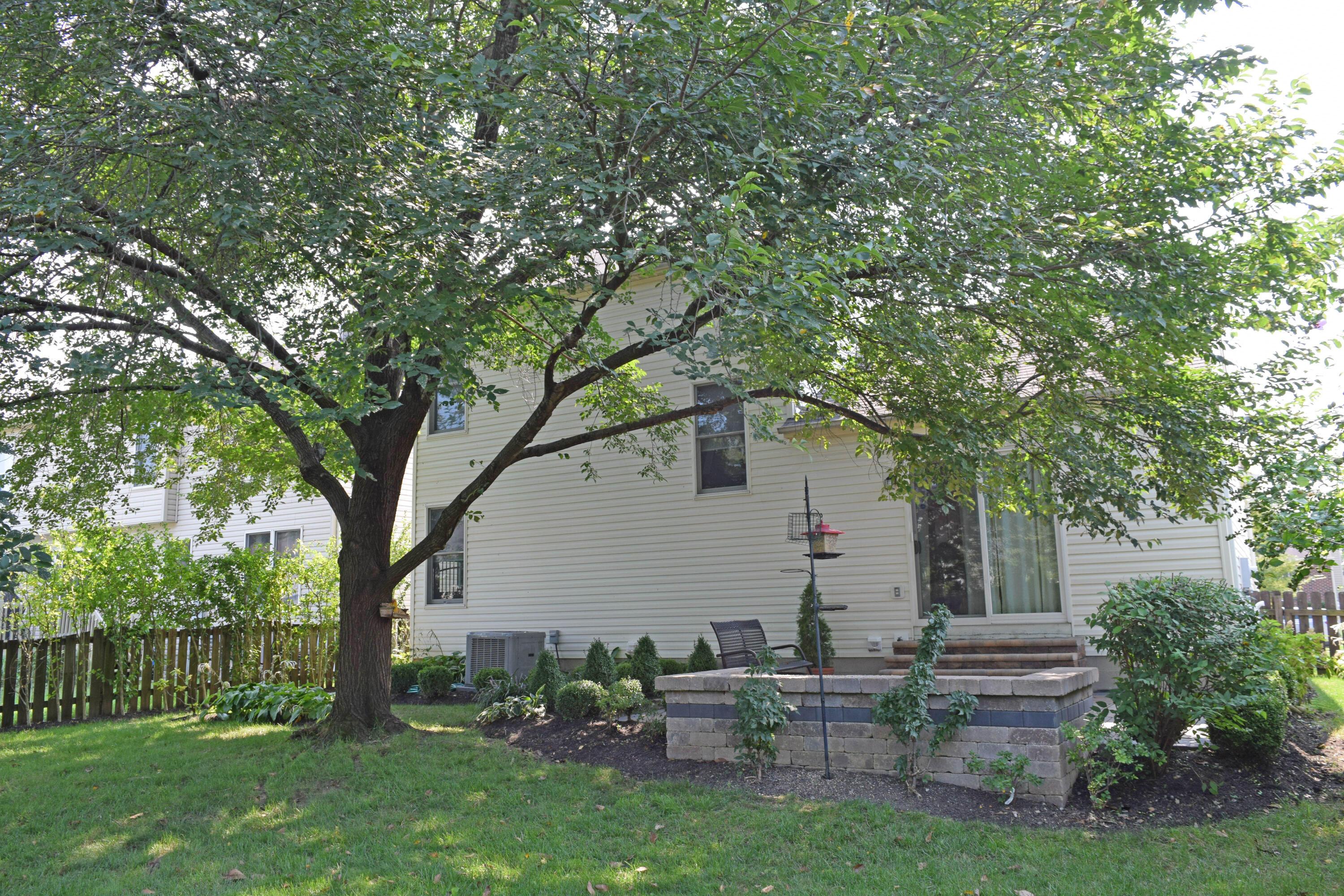 312 Holly Grove Road Lewis Center, OH 43035 - Photo 24 of 32 22-Exterior Back