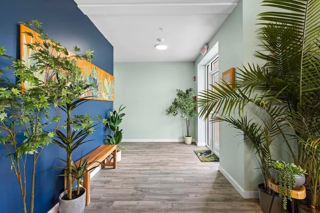 a view of a potted plants on a floor