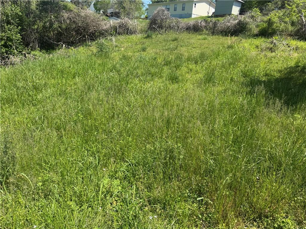 165 Cherokee Avenue Nelson, GA 30151 - Photo 6 of 27